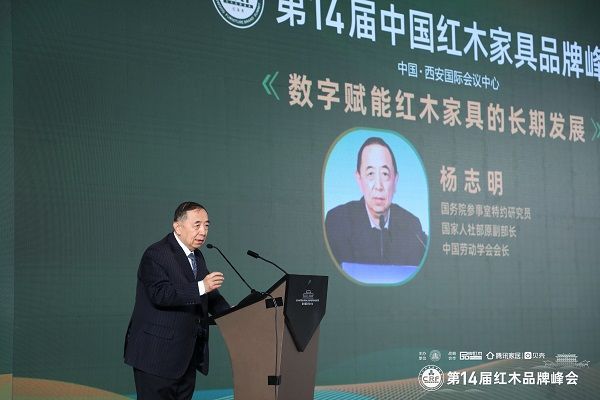 國務(wù)院參事室特邀研究員、國家人社部原副部長、中國勞動學會會長楊志明發(fā)表演講